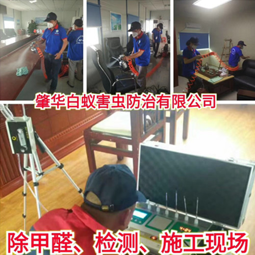环境治理检测、除甲醛